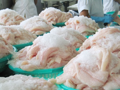 24.8 percent drop in pangasius export to Russia