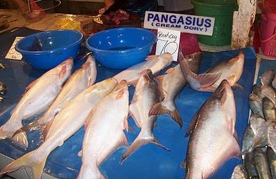 Pangasius fish seen as new prospect in Bataan hotels, restaurants