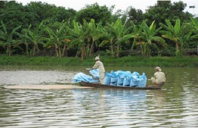 More detailed information and guidelines for ASC standards in Vietnam