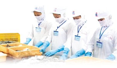 Phu Cuong Jostoco Corp turning export to Asian markets