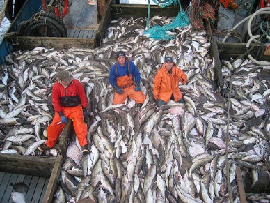 EU pollock importers still hope for changes to 2013 duty proposal