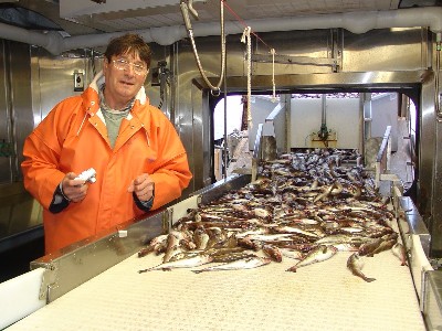 Pollock producers assess North Korea processing