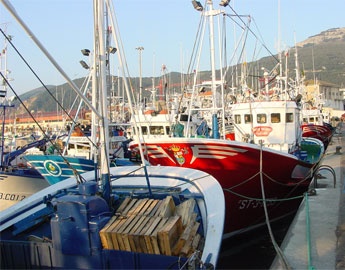 Spain Fresh fish landings lower