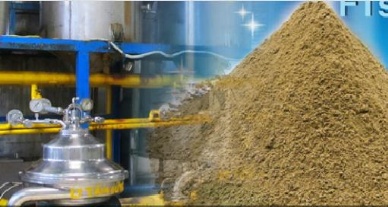 Tafish Co focusing on byproduct processing