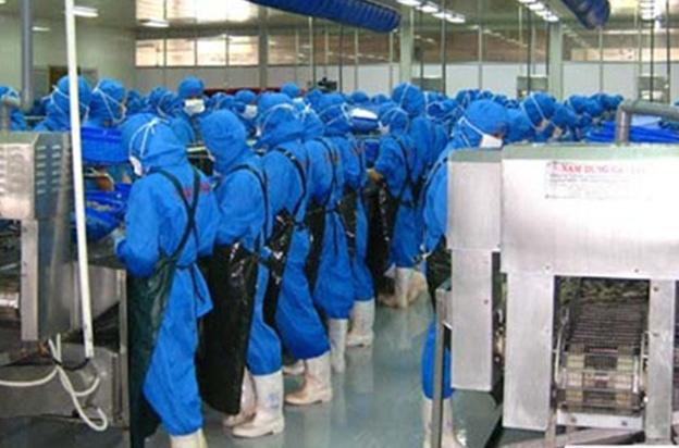 Thuan Phuoc Corp gained US$70 million in 2011