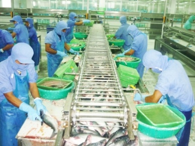 Cau Quan Aquatic Products Processing Factory allowed to export to Brazil