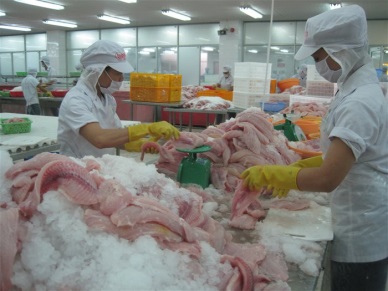 Vietnam pangasius exports to U.S rose