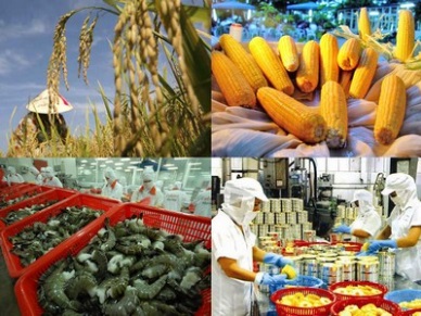 Vietnam to find agro importers in South Africa