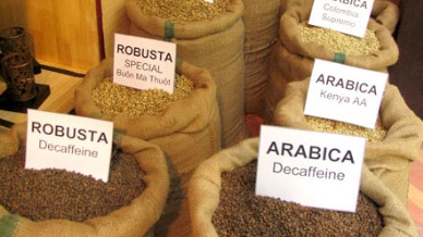 Vietnam  exporters seek opportunities in Algeria