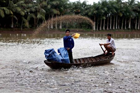 An Giang province Pangasius farming under international standards