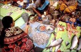 Indian seafood prices rise 10-30% on increased domestic demand as EU, Chinese buying slows