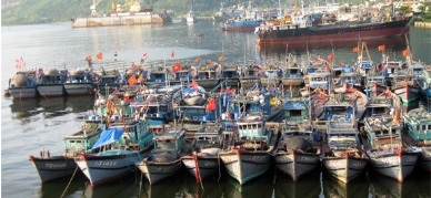 An Giang Seafood exports in Sep 2013 hit US$311 million