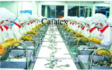 CAFATEX FISHERY JOIN STOCK CORPORATION