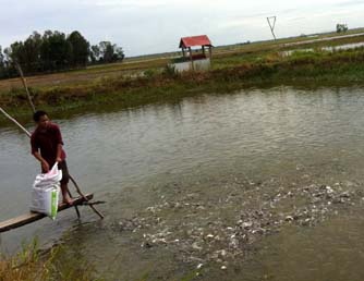 Vietnamese govt agrees to give tra fish farmers preferential interest rates for loans