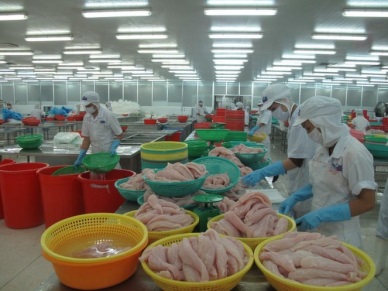 Germany – the 4th largest market of Vietnam pangasius in Europe
