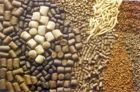 Shrimp feed consumption increase 20%