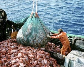 Argentina looks to China to cover low European demand