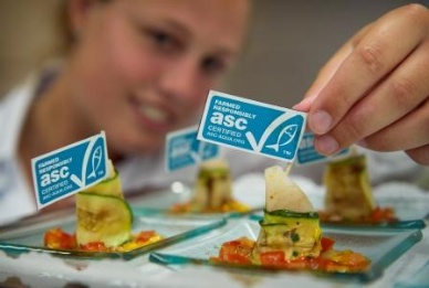 ASC Hosts Popular Update Meeting at ESE 2013