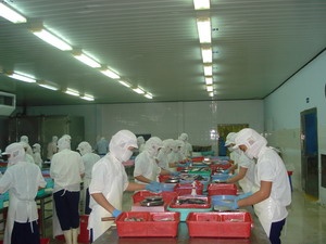 Asia focusing on exports of value-added seafood products