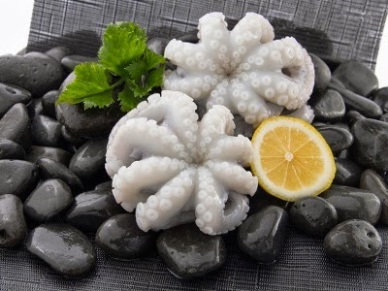 Encouraging outlook for Vietnam cephalopod exporters to Australia