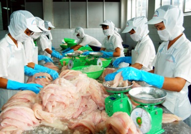 Can Tho aquaculture under EAFI standards