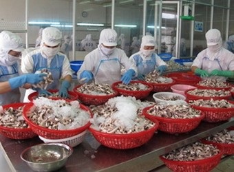 Bac Lieu 23 percent rise in seafood exports