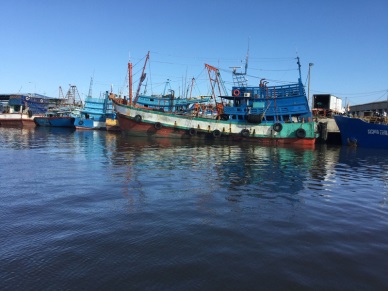 Bac Lieu Production of aquaculture and capture output reached over 26,770 tons