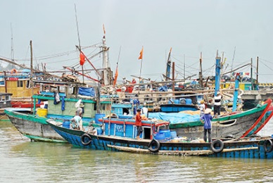 Bac Lieu Fishing diary for marine fish exported to EU