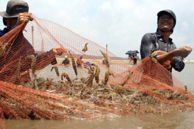 Bac Lieu Fish production reached 32 thousand MT