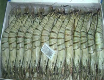 Bangladeshs shrimp exporters cannot meet surging 2013 demand from China, US, EU markets
