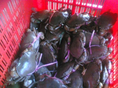 Bangladesh wants to remove trade barriers to increase crab exports to China and other markets