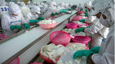 Seafood firms angle for tax break