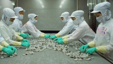 Vietnam to establish the seafood centre in Belgium