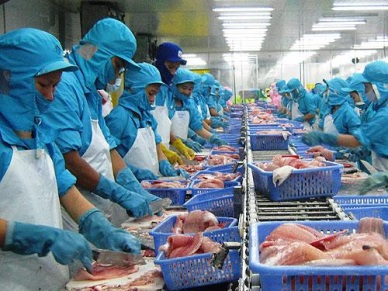 Pangasius exports to Brazil increased by 17.2%