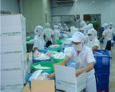 Bidifisco to export ocean tuna to Japan