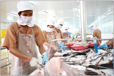 Bilofish 80 percent of pangasius sent to Middle East