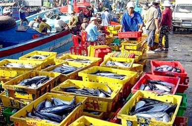 Binh Thuan Capture output reached over 173,131 MT