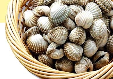 Bivalve mollusk exports to Japan went up 