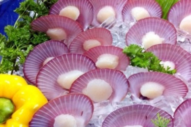 Encouraging bivalve mollusk exports to Australia