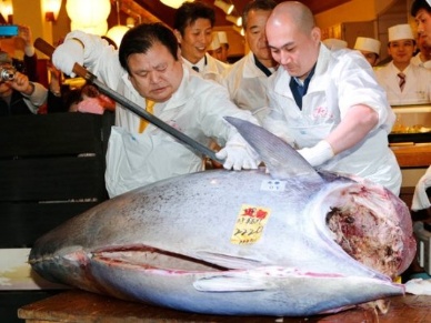 Many Japanese unaware of decline in bluefin tuna stocks