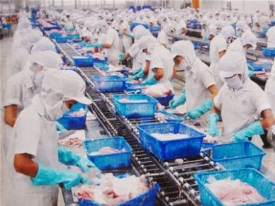 Vietnam seafood exports to CPTPP member countries up 15 per cent