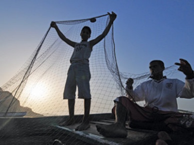 Brazil Aquaculture technology transfer from Israel to be promoted 