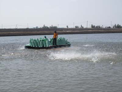 Australian importers praise Vietnam seafood quality