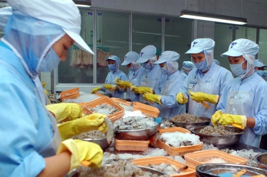 More export doors for Vietnamese goods