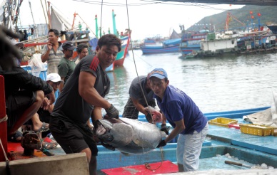 Workshop seeks ways to promote tuna exports to EU