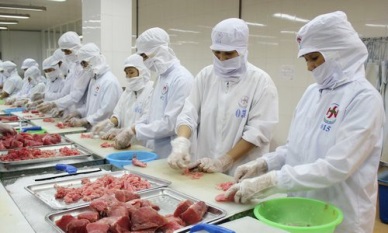 Italy favors tuna from Vietnam