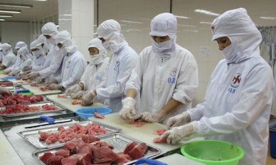 Oct 2016 Up 4-fold in Vietnam tuna exports to Italy