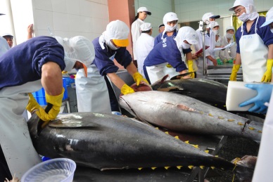 Vietnam’s tuna exports to China rebounded