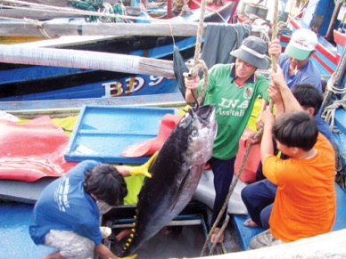 Tuna production in QI2017 touched 5,846 MT