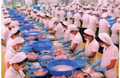 Vietnam pangasius sales to the US to rise in QII2016